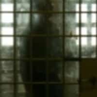 עבר שינוי משמעותי מאחורי הסורגים (אילוסטרציה: FREEPIK)