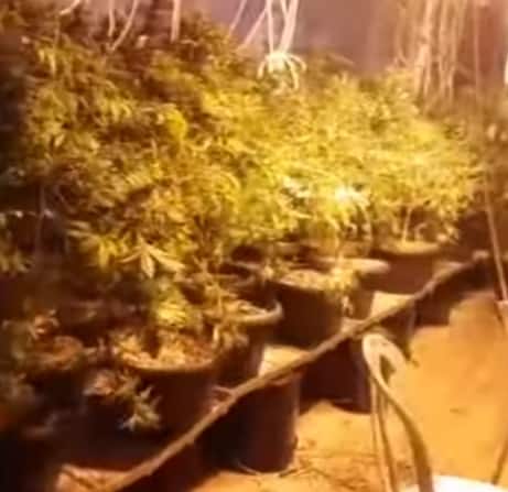 מעבדת הסמים ברמת גן