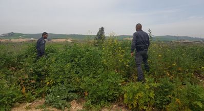 סריקות משטרה סמוך לנתיב הבריחה