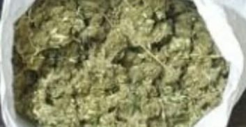 מוכר למשטרה מנתניה חשוד בהחזקת יותר משבעה ק"ג מריחואנה 