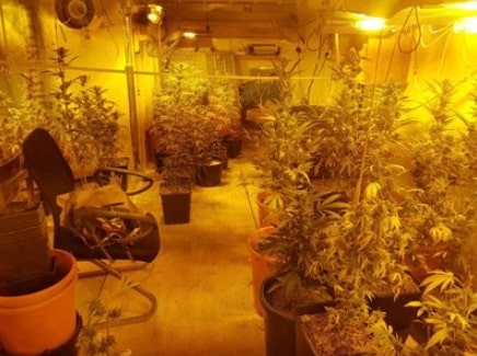 מעבדת הידרו (צילום ארכיון להמחשה)