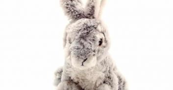 אישום על האזנות סתר נגד אישה שהקליטה את בעלה באמצעות הבובה של בתה