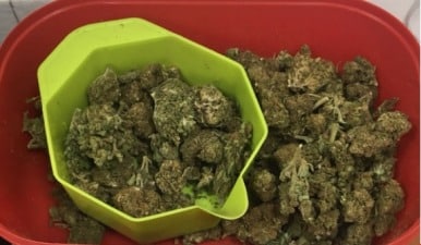 הסמים שנתפסו אצל החשודה