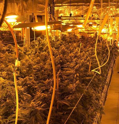 המעבדה ברחוב הש"ך