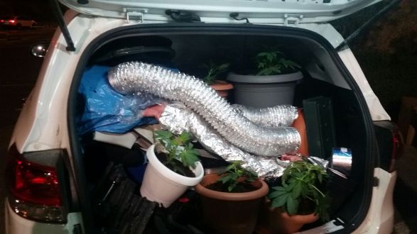 הציוד והשתילים בבגאז'