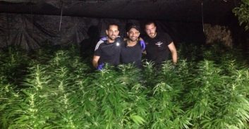 העליון ביטל מאסר לבוגרת שייטת 13 שהורשעה בגידול 100 ק"ג קנאביס