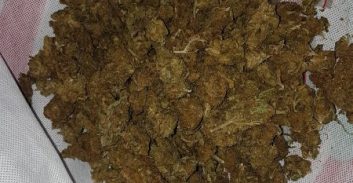 נעצרו על עבירת תנועה ונתפסו עם מריחואנה ברכב