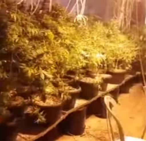 אחת המעבדות של הנאשמים 