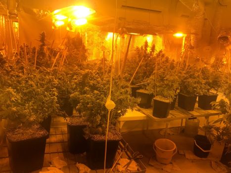 מעבדת הידרו (צילום ארכיון להמחשה)