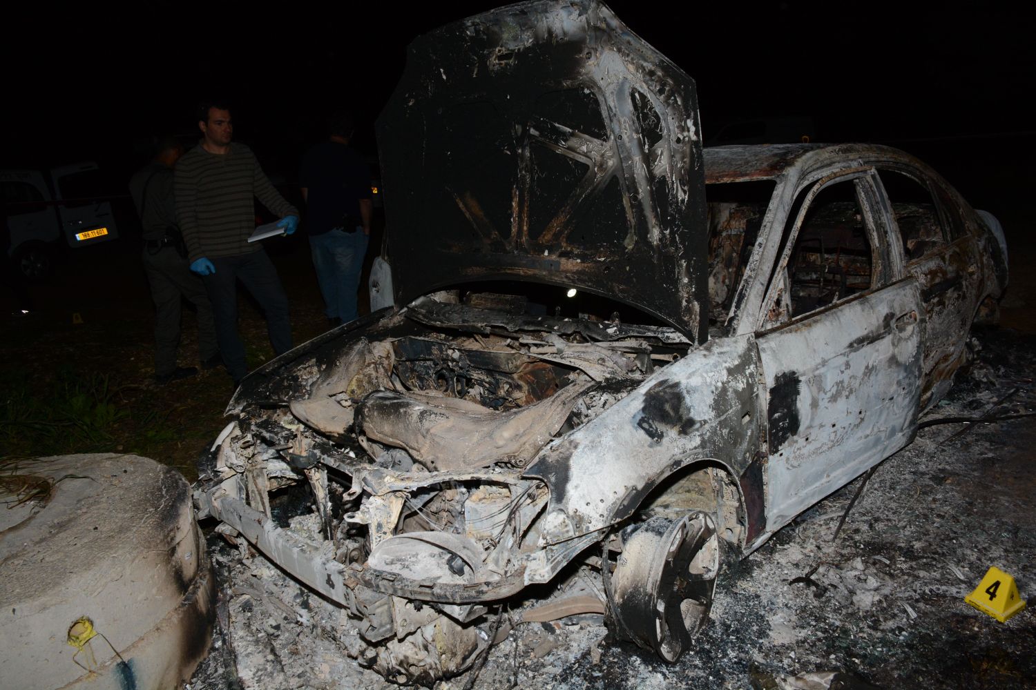 נמצא ביער איבים. הרכב