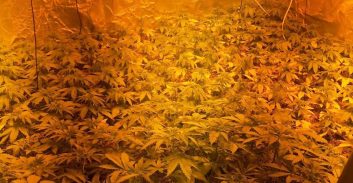 ראשל"צ: כבאים ושוטרים הוזעקו לשריפה וגילו מעבדת הידרו