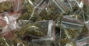 סטודנט למוזיקה שנאשם בהפצת קנאביס שוחרר למעצר בית