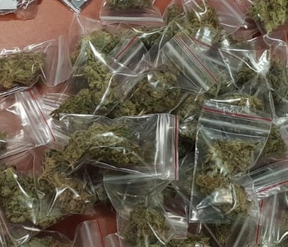 קנאביס בשקיות