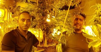 אור יהודה: נעצר בחשד לגידול 96 ק"ג מריחואנה במעבדה בדירתו