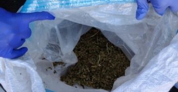 הסדר טיעון לאחים בן מוחה מהצפון בתיק החזקת קילו קנאביס