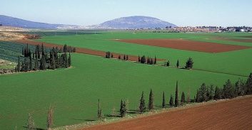30 חודשי מאסר למנהל חשבונות שעקץ את ביטוח לאומי