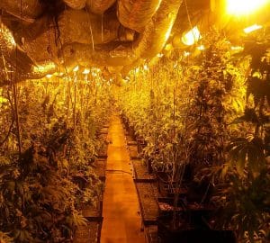 אילוסטרציה מעבדת סמים מהמשטרה