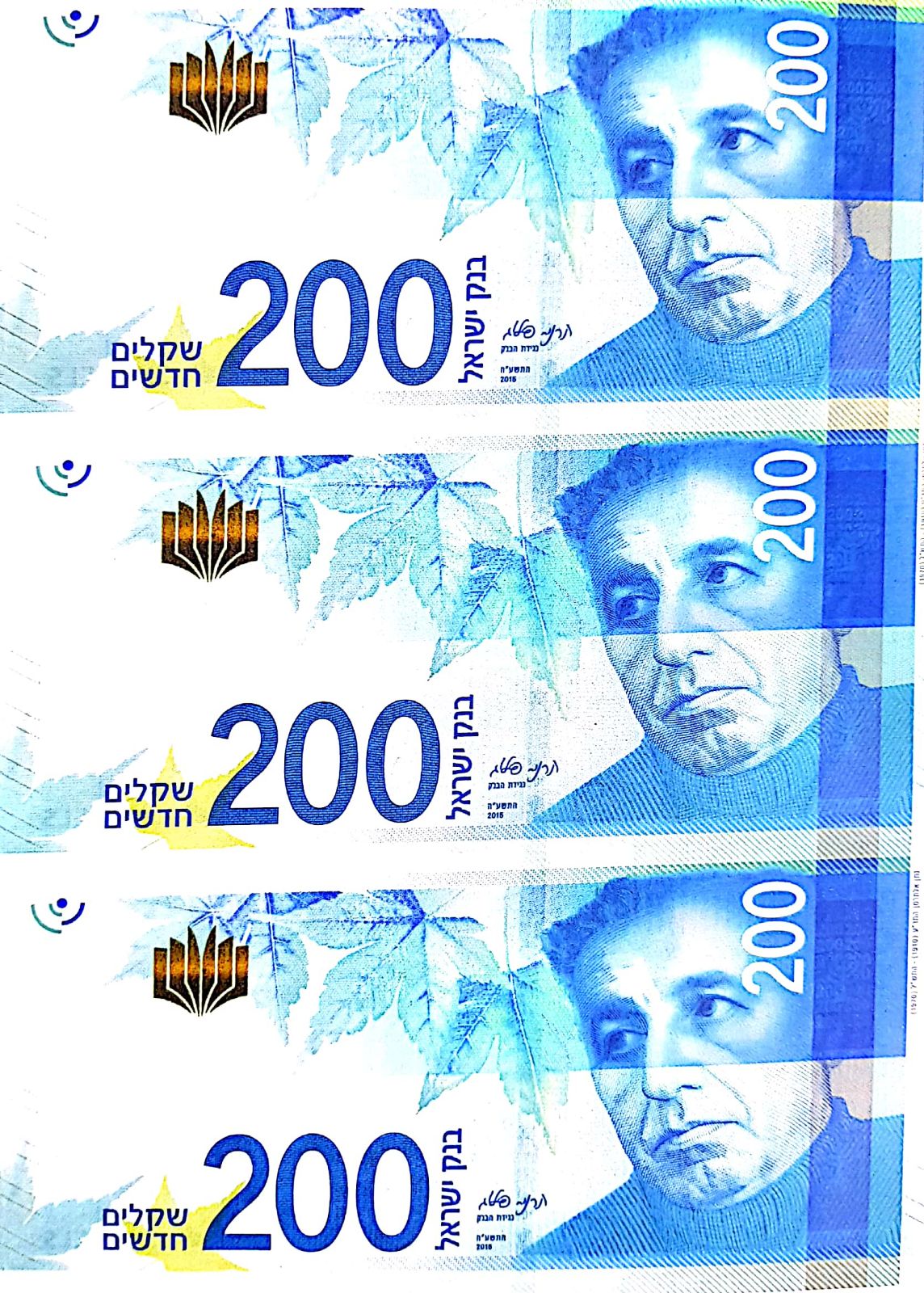 שטרות מזויפים שנתפסו