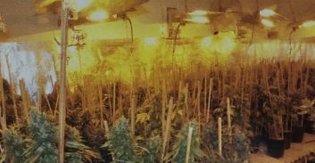 כדורגלן עבר נעצר בחשד להפעלת מעבדת "הידרו"