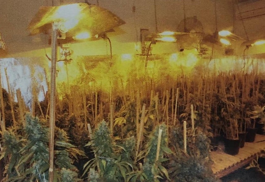 מעבדה אור יהודה