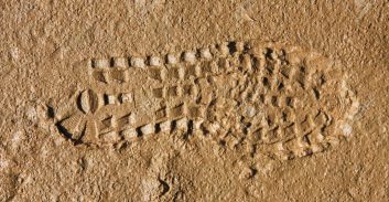 מחוזי ירושלים: יש מקרים בהם טביעת נעל היא כמו טביעת אצבע