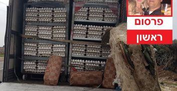 קרטל הביצים של פתח תקווה