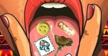 המשטרה: ראש ממשלת הסטלנים הוא ראש ארגון פשע וירטואלי