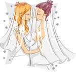 לא מצאתי כי יש להתיר שוני בעניין הזה". דברי השופטת גולן-תבוריי