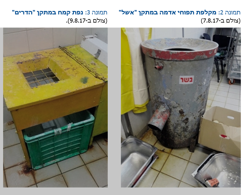 צוות המבקר בדק כמה מהמטבחים. ככה הם נראו