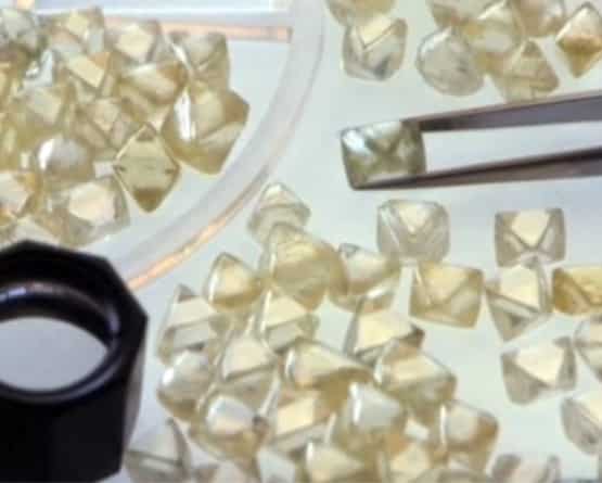 לפי המתלונן, עדיין חסרות אבנים בשווי 150 דולר. היהלומים