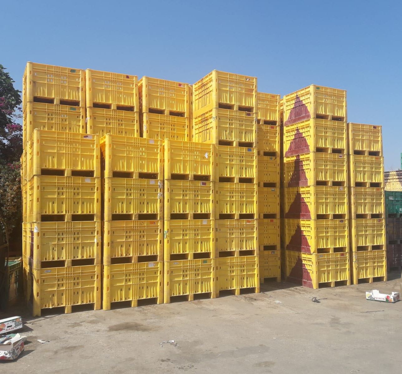 הדולבים הגנובים