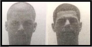 סטיב ושלומי אקריש