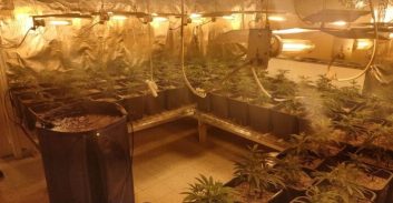 מעבדת הידרו גדולה אותרה סמוך למטה משטרת מחוז תל אביב