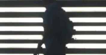 פרסום ראשון: עד המדינה נגד ארגון בן דוד ירצה שנה וחצי מאסר