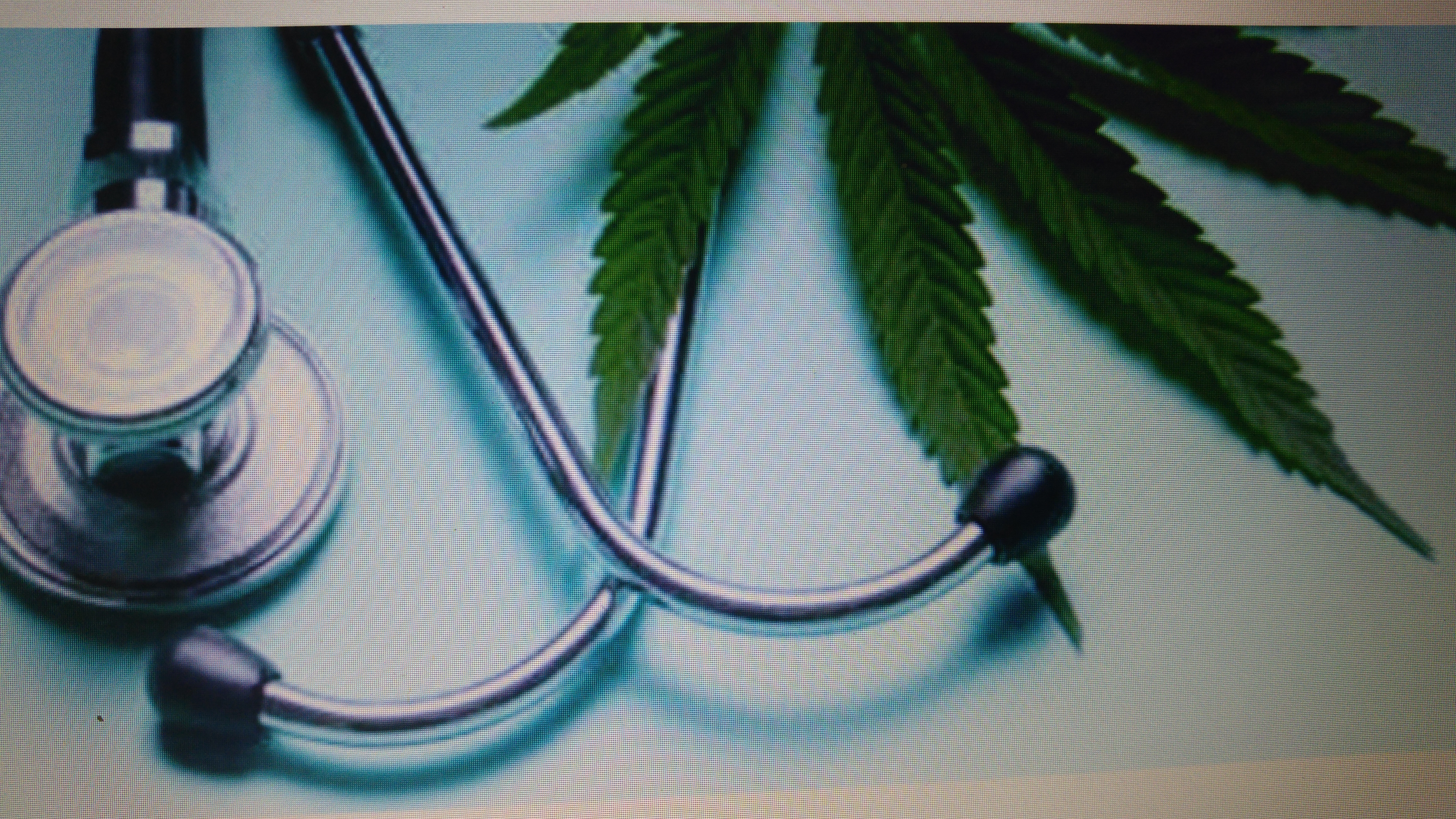 היחידה למרכז קנביס לא עונה, לא בטלפון ולא בפקס (צילום: מתוך דוח המבקר)