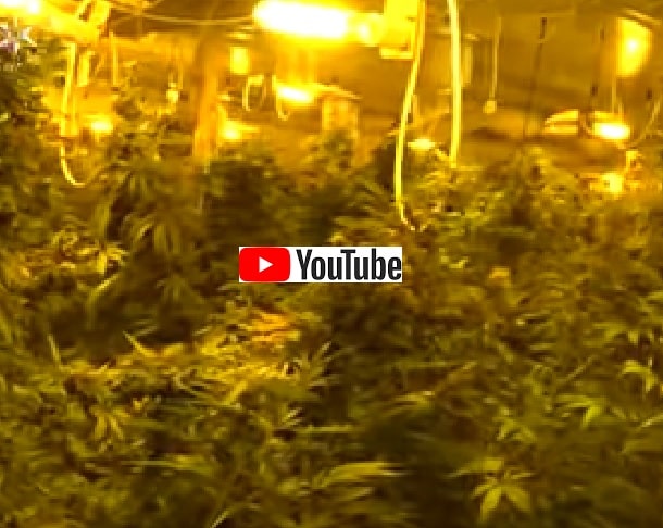 צפו: המשטרה תיעדה את תפיסת הסמים