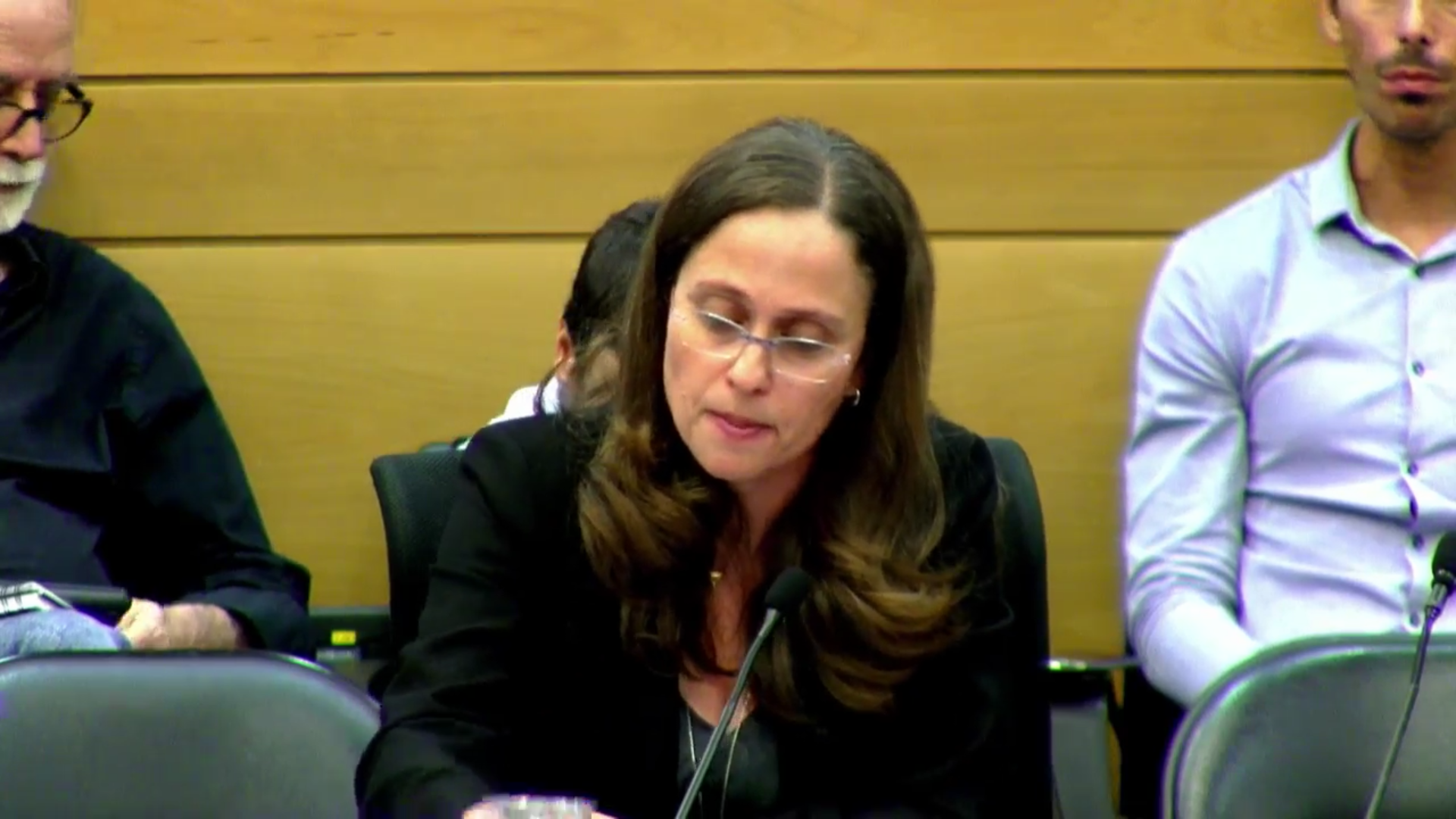 עובדת על נוהל עבודה בין המשטרה למח"ש. קרן בר מנחם, ראש מח"ש