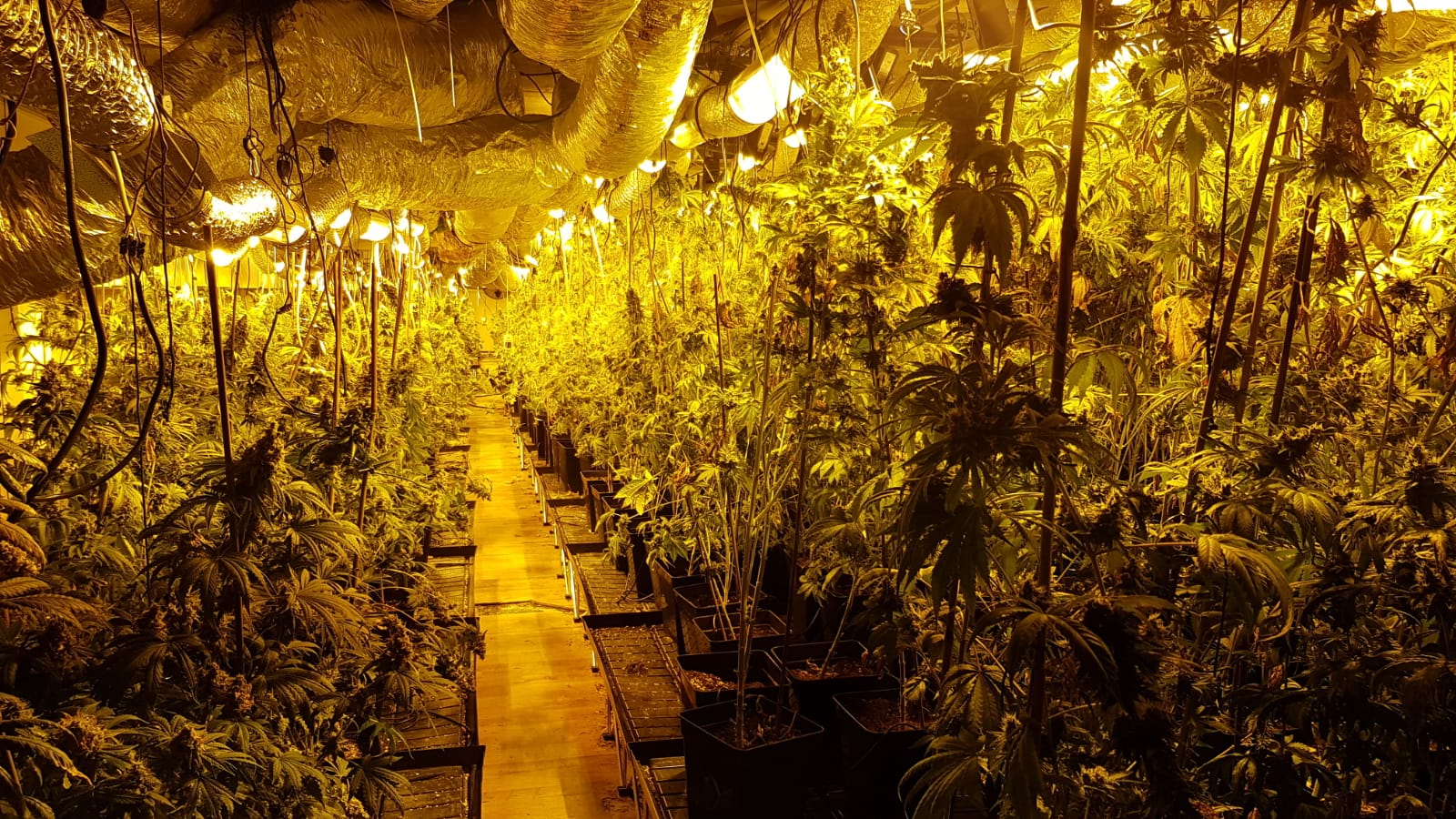 המעבדה שנחשפה (צילום: משטרה)