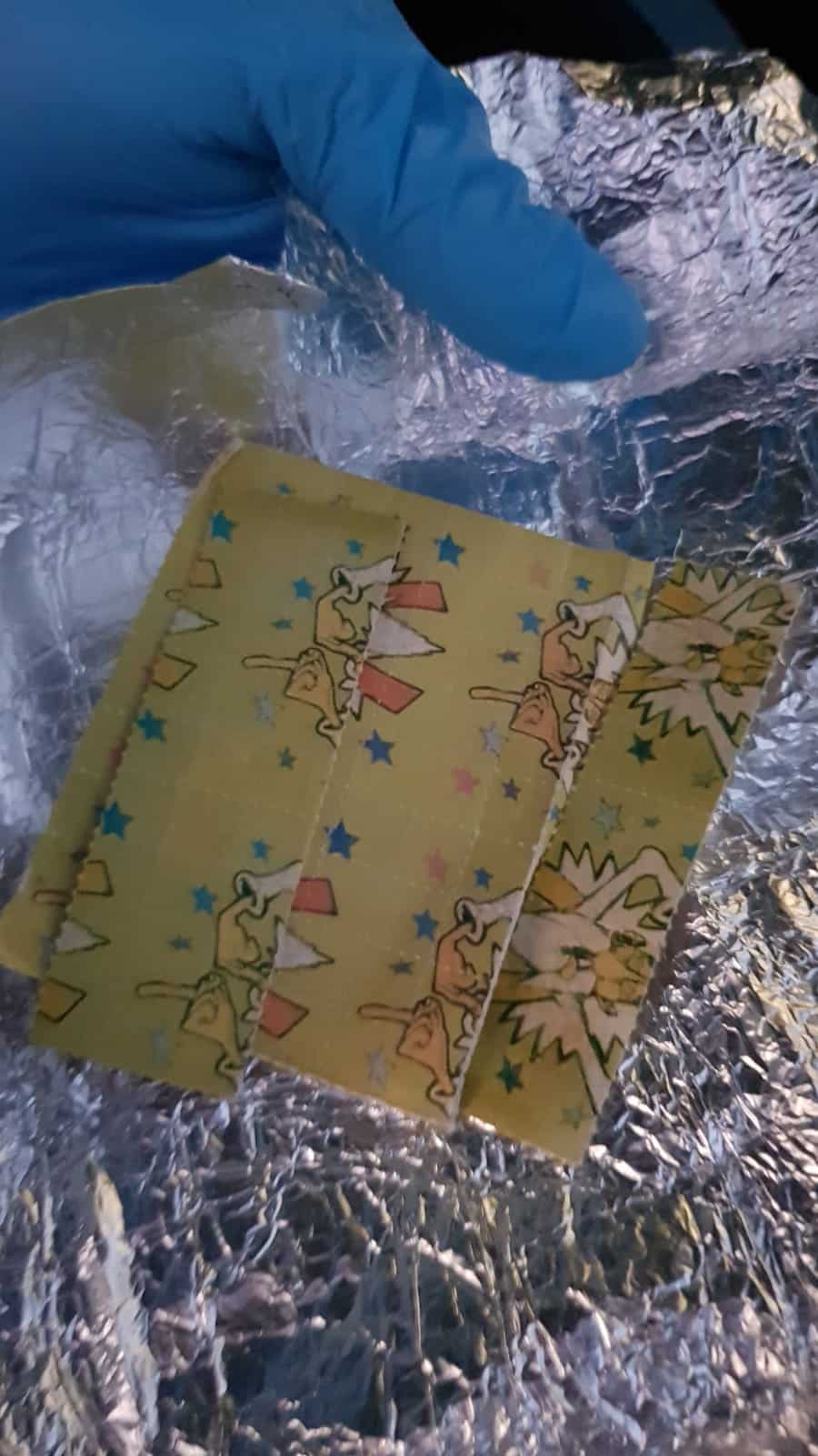 בולי הסם שנמצאו (צילום: משטרה)