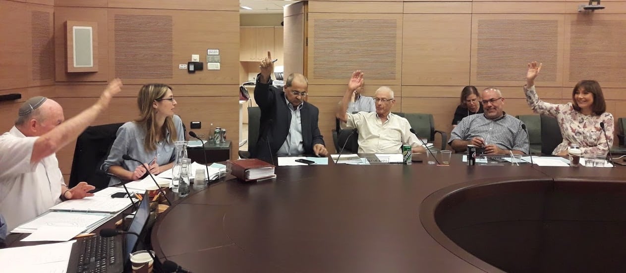 ועדת חוקה. תשעה חודשים מינוס שישה שבועות