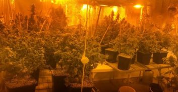 חשוד בהפעלת מעבדות הידרו ביישוב זרעית שוחרר למעצר בית