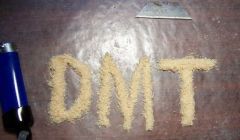 DMT