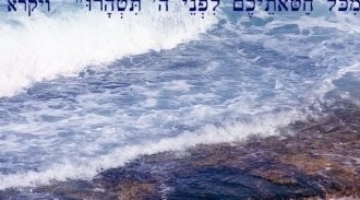 סליחה? סליחה!