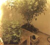 לכל אחד יש את האחת שלו