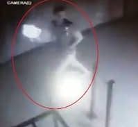 נקמת הבליינים