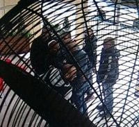 תיק בני שלמה והסחיטה בפיצוצייה: כך זה נראה בתמונות