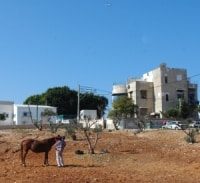 עיריית תל אביב נגד קורת הגג של כראג'ה ביפו