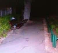 שמונה שנות מאסר לתוקף שהפך צעיר לנכה סיעודי