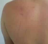 מחוף הים – למעצר ולמח"ש