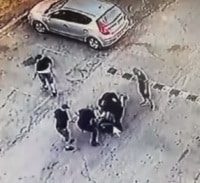 ניסיון הרצח בדקירות בקרית ים: כל החשודים שוחררו